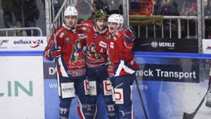 Eishockey: Freiburger wieder im Geschäft