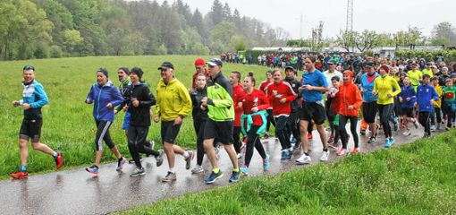 Trotz mäßigem Wetter kamen gut gelaunte Läuferinnen und Läufer am Samstag in Fahrnau an und liefen der Wiese entlang zur Feuerwehr, wo sich ein  Streckenposten befand. Foto: Ralph Lacher