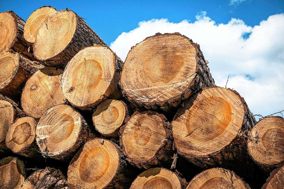 Kleines Wiesental: Beschluss: Preise für Holz steigen