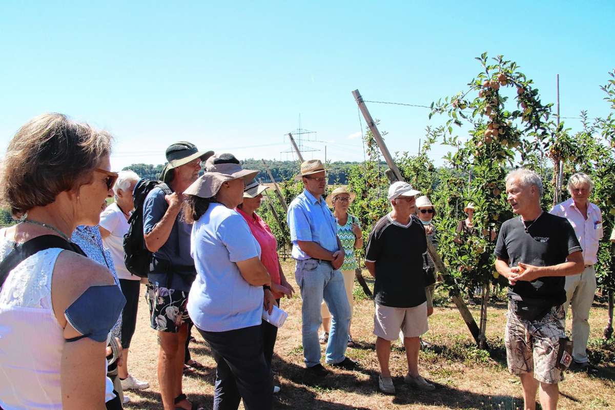 In der Apfelplantage lauscht die Gruppe gespannt den Ausführungen des Landwirts Karlfrieder Fischer. Links im Bild Landrätin Marion Dammann, hinten rechts Klaus Nasilowski, Obstbauberater des Landratsamts.
