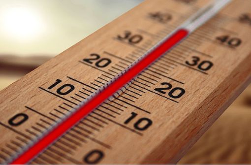 Die Hitzebelastung im gesamten Stadtgebiet soll  reduziert und vermieden werden. Foto: Pixabay/geralt
