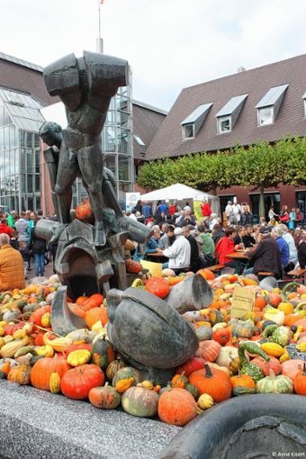 Auch Kürbisse werden beim Kartoffelmarkt in Neuenburg zu bekommen sein. Foto: ov/Archiv