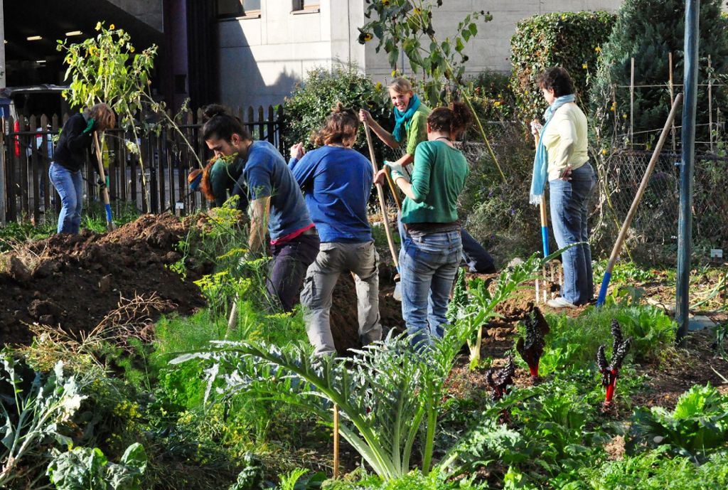 Kein Raum für Individualisten: Beim „Urban Gardening“ steht die Gemeinschaftsarbeit im Vordergrund. Fotos: zVg