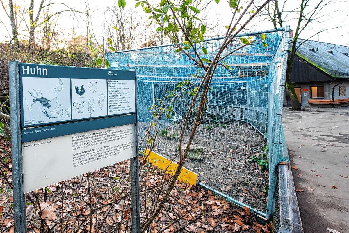 Basel: Vogelgrippe betrifft auch den Zoo Basel