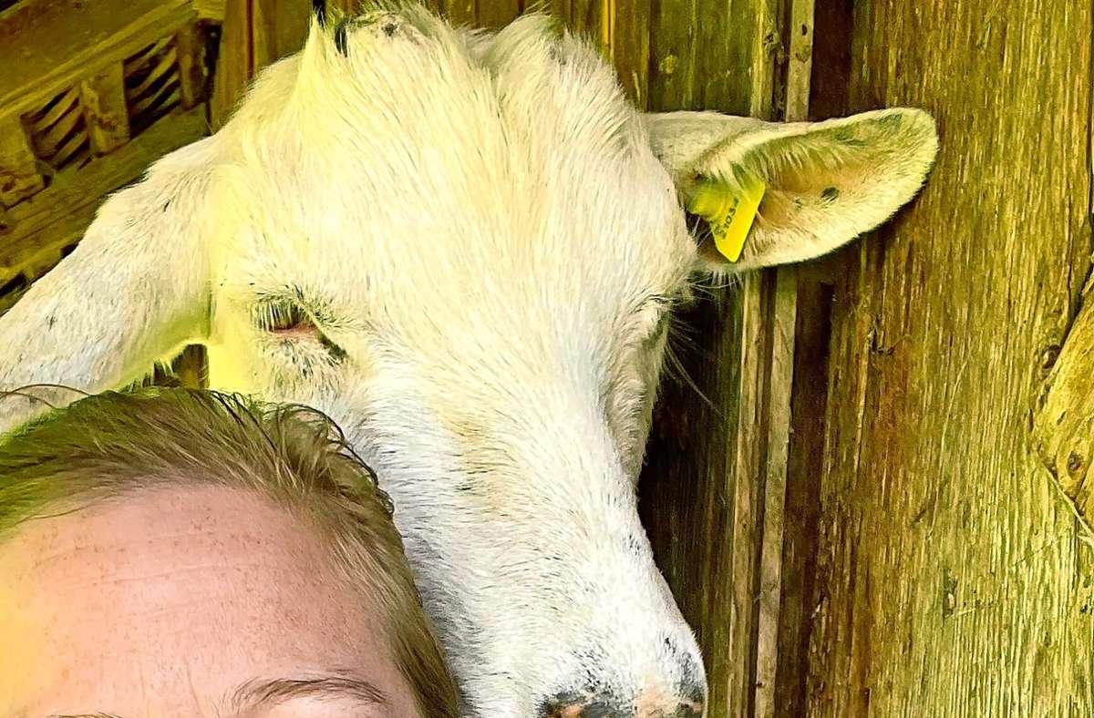 Müllheim: Ziegen hüten und Kühe melken