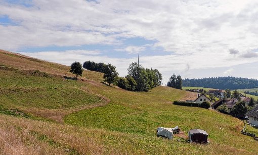 Der südliche Bergkopf – ein altes Bergbaugebiet mit Halden, Stollen und Pingen. 
Foto: Werner Störk Foto: Markgräfler Tagblatt