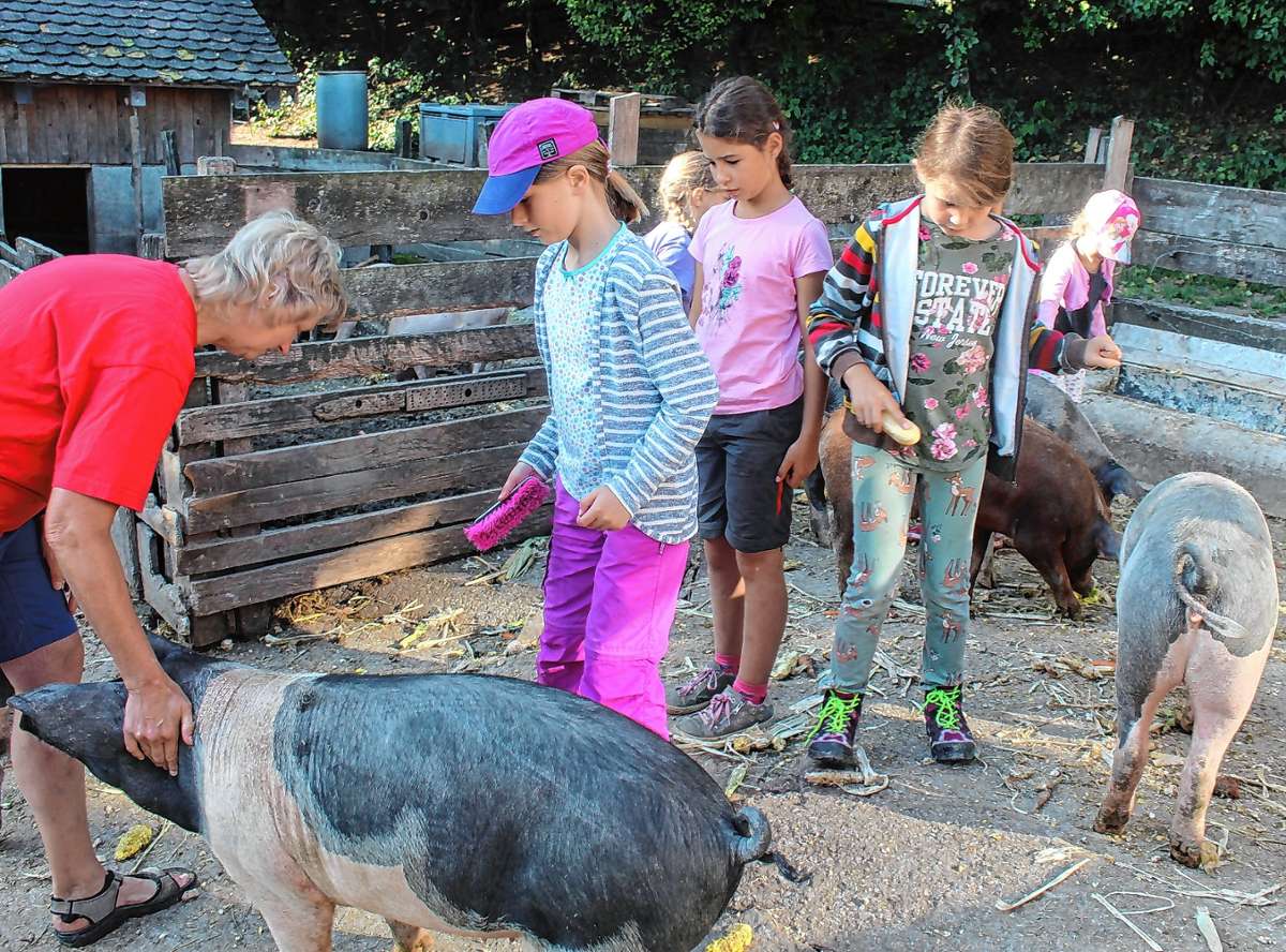 Schopfheim: Aktion für mehr als 60 Kinder