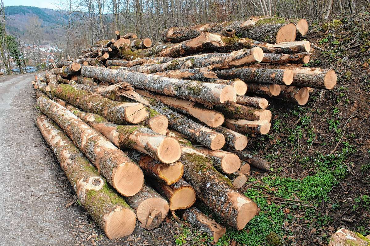 Maulburg: Holz gibt es auf telefonische Bestellung