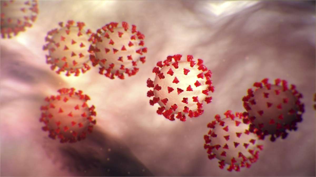 Das Coronavirus kann auch Zellen der Bauchspeicheldrüse angreifen.Foto: Archiv Foto: Die Oberbadische