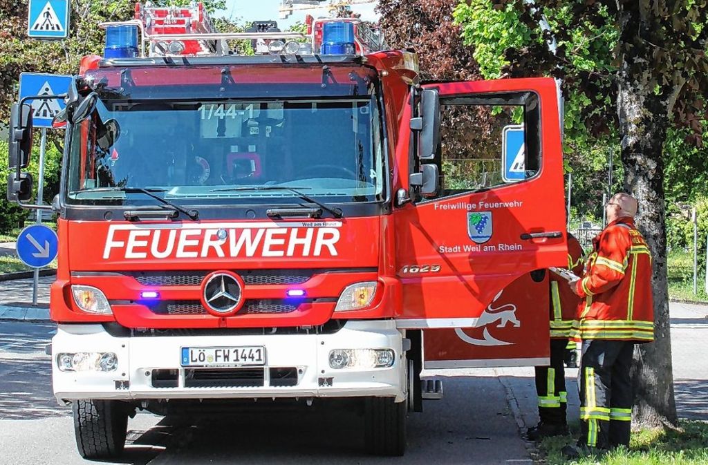 Maulburg: Taube verursacht Brandalarm