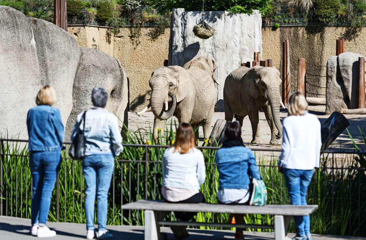 Zoo-Besucherinnen vor dem Elefantengehege Foto: Zoo Basel/Torben Weber)
