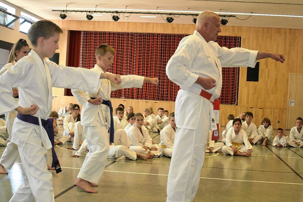 Rümmingen: Karateverein feiert seinen zehnten Geburtstag