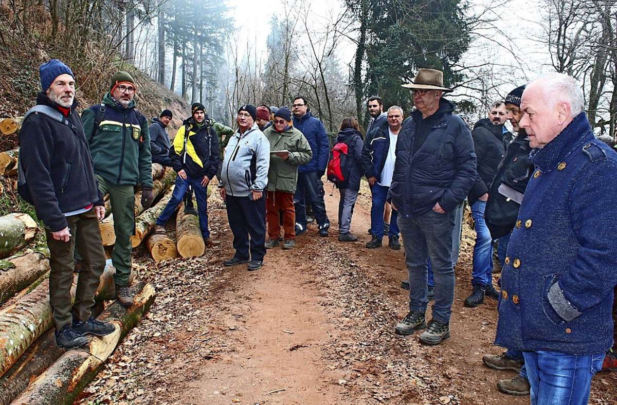Bürgermeister Jürgen Multner (von links) und Revierförster Sven-Hendrik Wünsch gestalteten eine erfolgreiche Holzversteigerung  im Maulburger Gemeindewald. Foto: Ralph Lacher