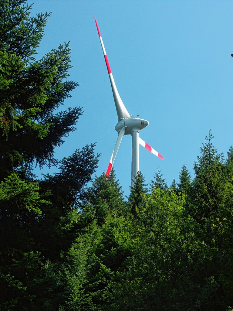 Kleines Wiesental: Windkraft: Sondersitzung im Januar