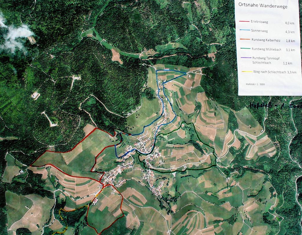 Schopfheim: Holzlaster auf Abwegen