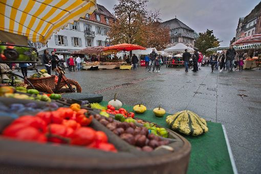 Der Kürbismarkt am Sonntag Foto: Kristoff Meller Foto: mek