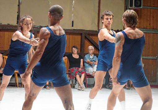 Mit fantastischen Tanzszenen wie hier in der Kampfkunst von Yotam Peled und den „Free Radicals“ wartete das Tanzfestival in Wies auf. Foto: Jürgen Scharf