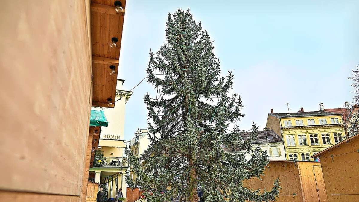 Weil am Rhein: Ein Christbaum für Ötlingen