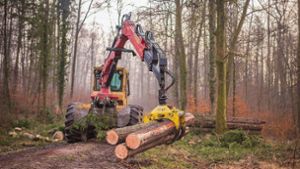 Schopfheim: Der Wald als „ökologisches Sparkonto“
