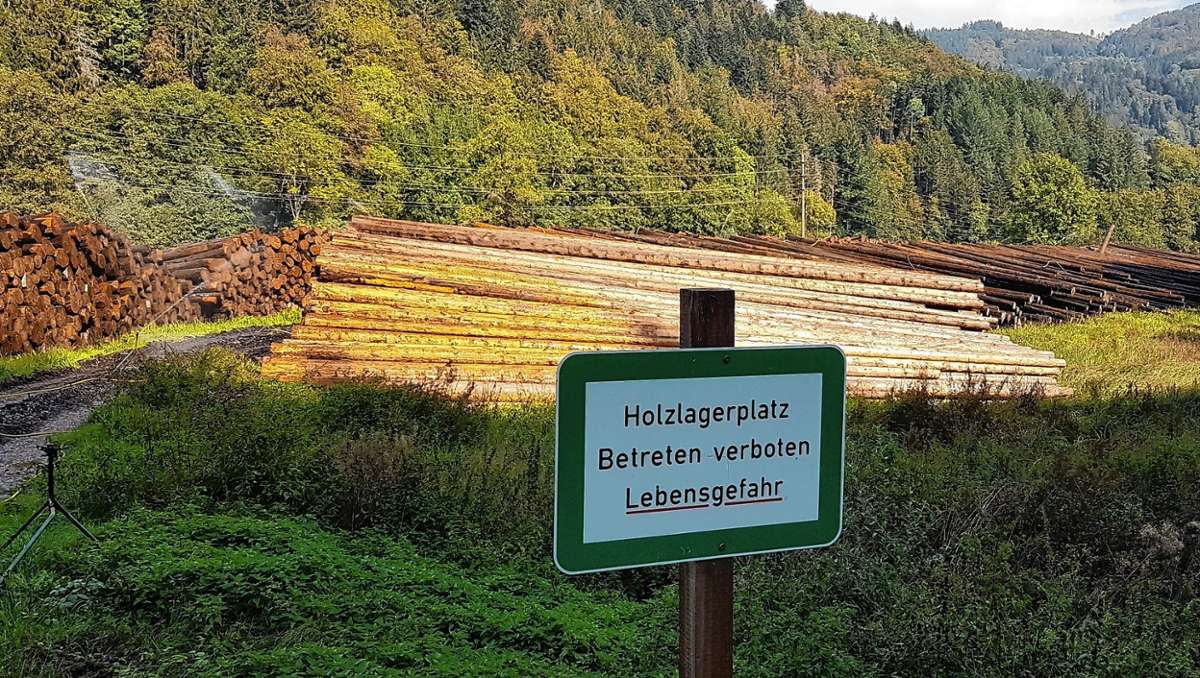 Schönau: „Der Wald bleibt das Sorgenkind“
