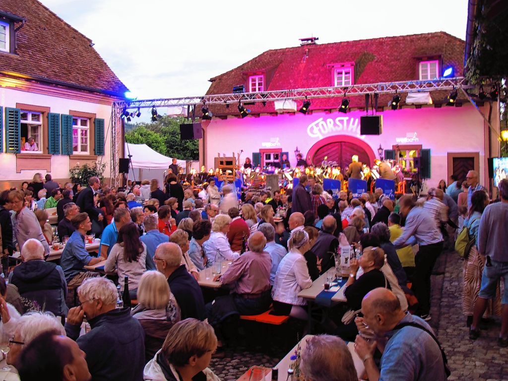 Groß war der Andrang bei zweiten „Forsthof-Open-Air“ in Wollbach mit dem Musikverein als Veranstalter. Foto: Jutta Schütz