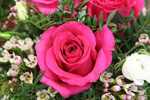 Rosen sind immer beliebt – auch zum Valentinstag. Foto: Die Oberbadische
