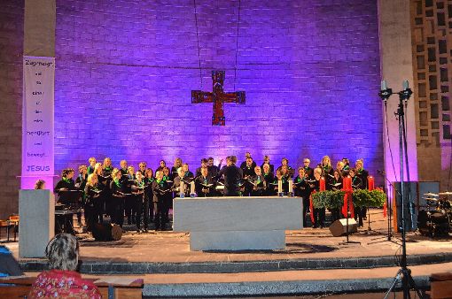 Rund 50 Sänger der Singgemeinschaft Lörrach traten beim Jahreskonzert am Sonntag auf.  Foto: Susann Jekle Foto: Die Oberbadische
