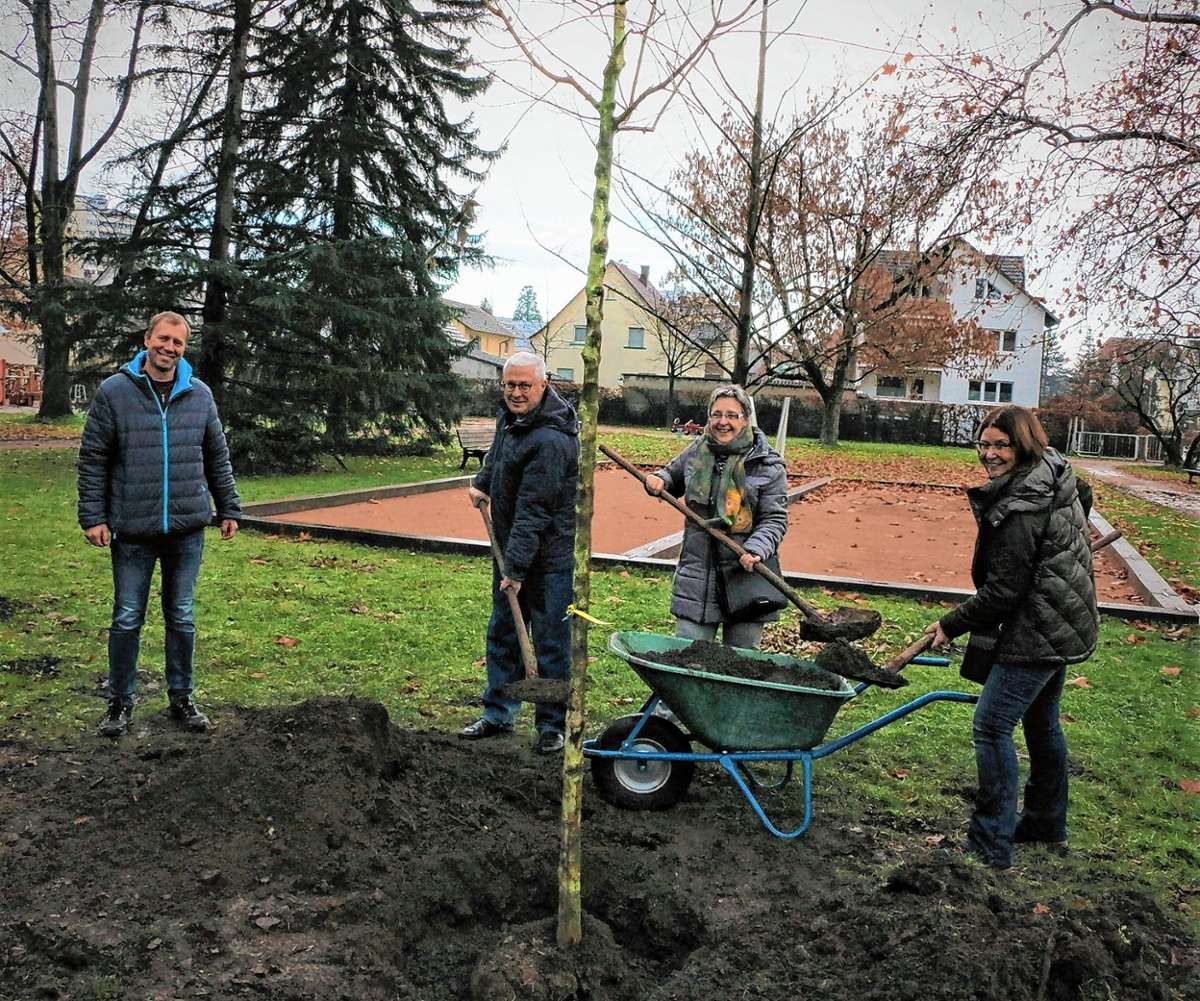 Weil am Rhein: 120 neue Bäume schlagen Wurzeln