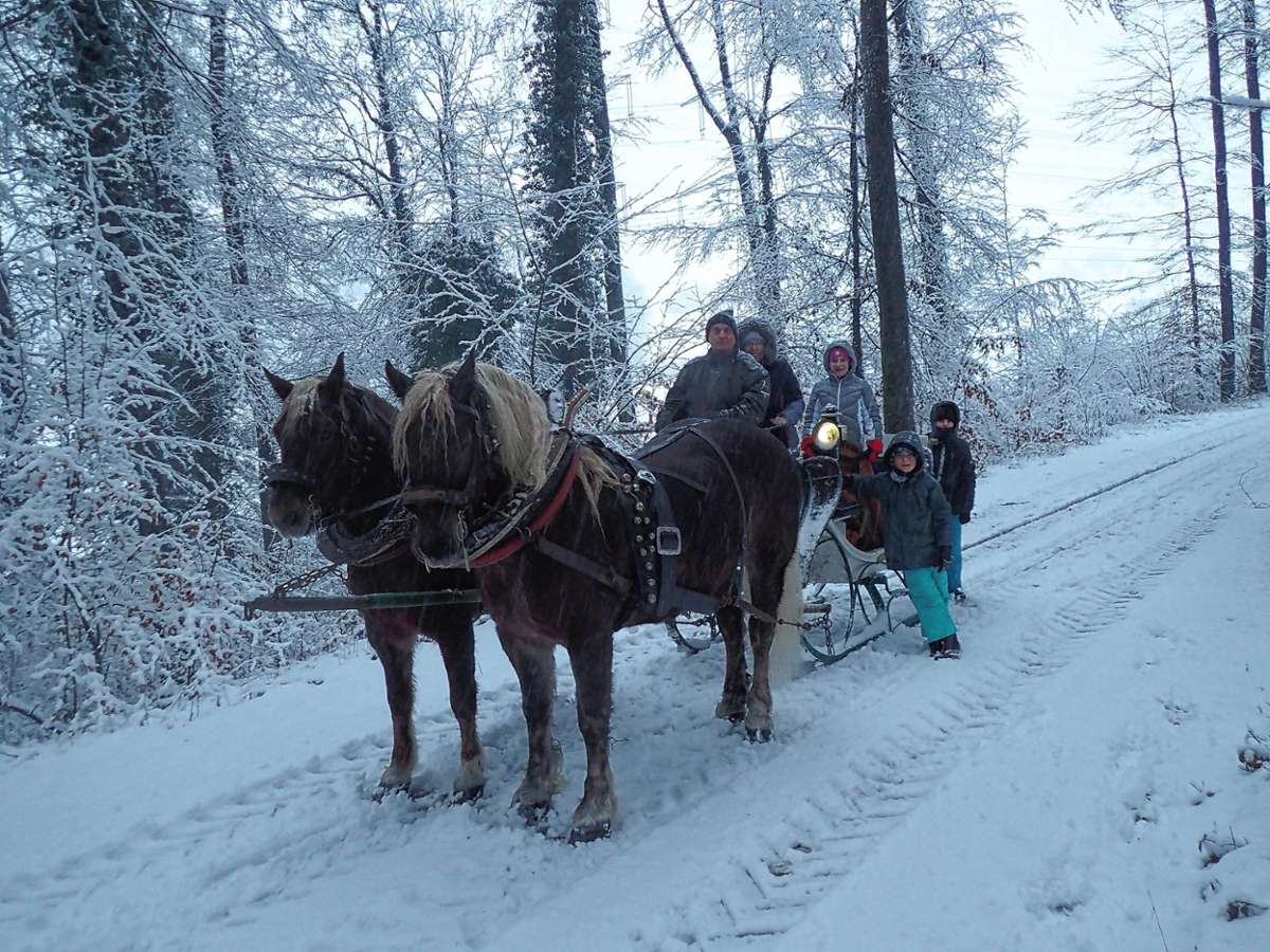 Schopfheim: Mit dem Pferdeschlitten durchs Winterwunderland