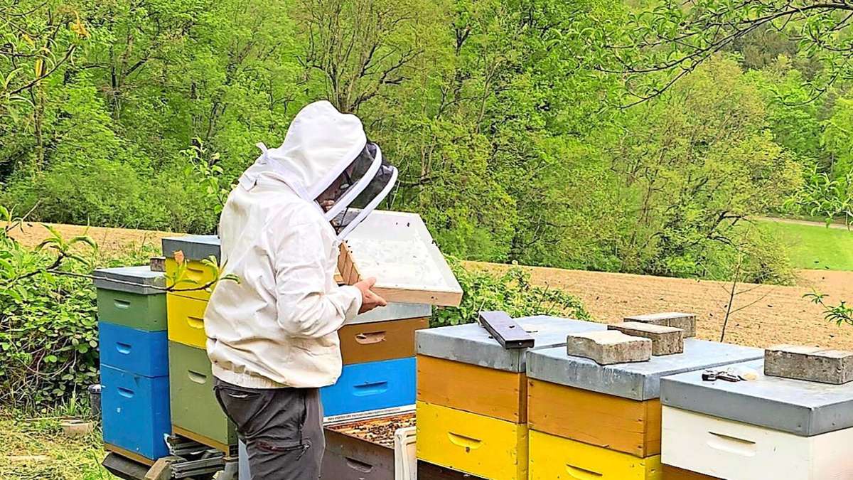 Lörrach: Von der Heilkraft der Biene