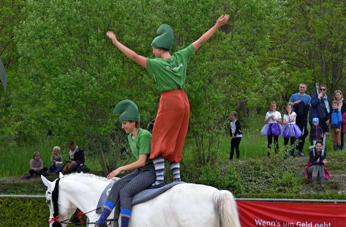 Lörrach: Anmut  und Akrobatik: Sehr gut besuchter  „Tag des Pferdes“