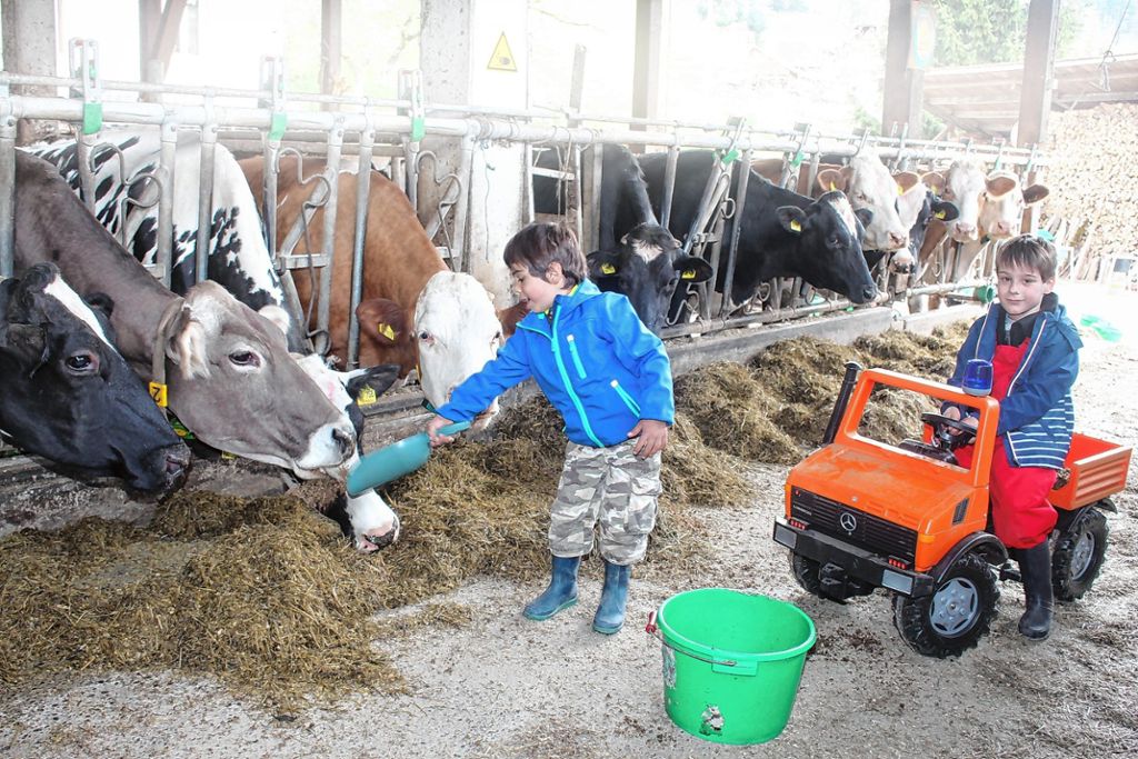 Schopfheim: Kinder erkunden das Landleben