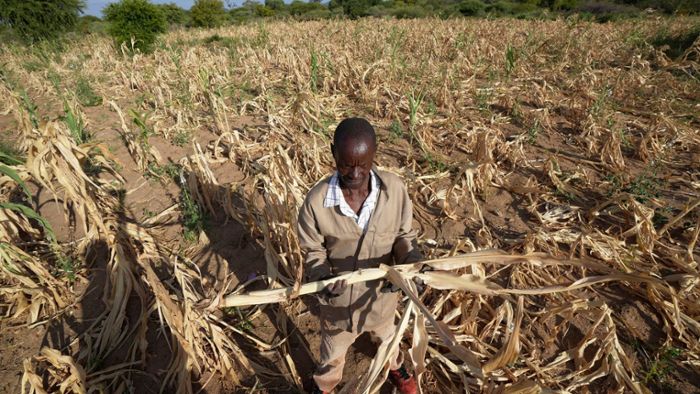 Klima: Dürre im Süden Afrikas bedroht 24 Millionen Menschen