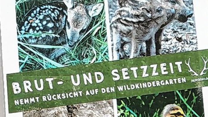 Bad Bellingen: Ein Mitpächter für Jagdbezirk