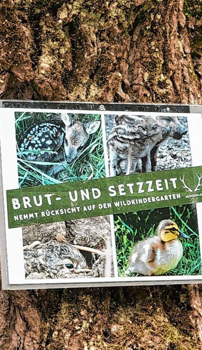 Bad Bellingen: Ein Mitpächter für Jagdbezirk