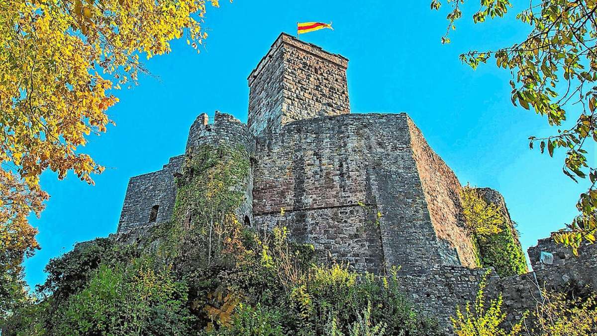 Lörrach: Öffnungszeiten  von Burg und Museum