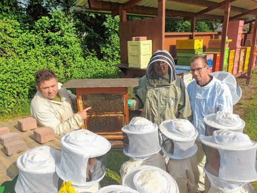 Rainer Eiche (links) zeigt den Kindern in Schutzkleidung die Bienen. Foto: Maximilian Müller