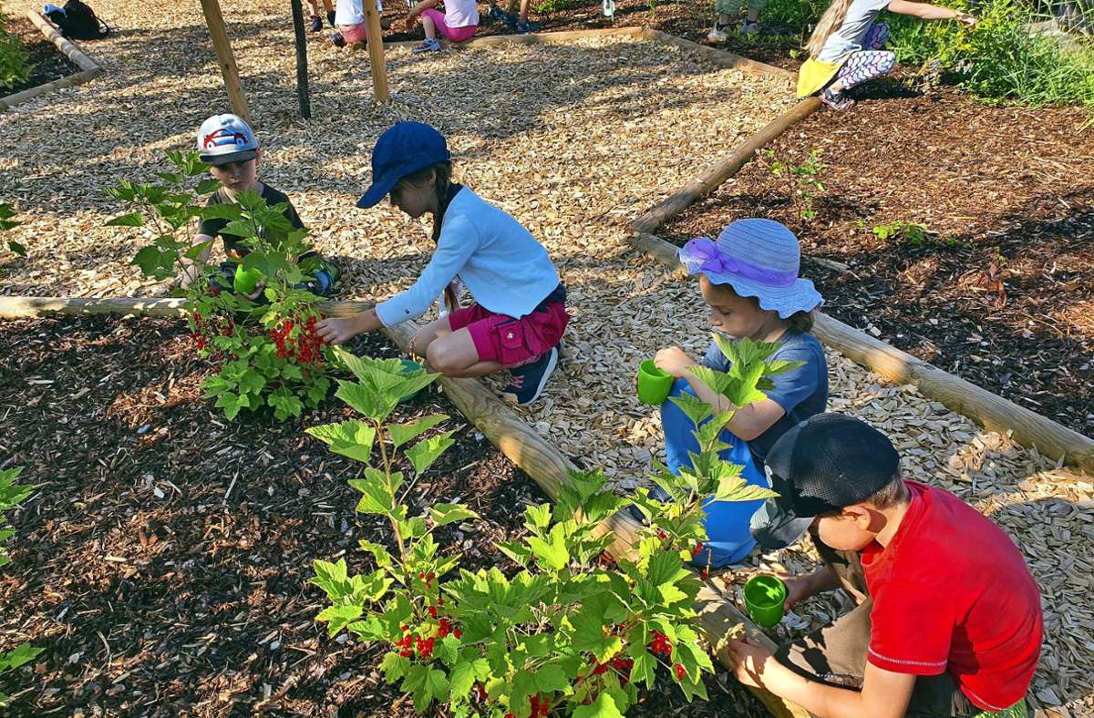Hausen: Kinder lernen beim Gärtnern