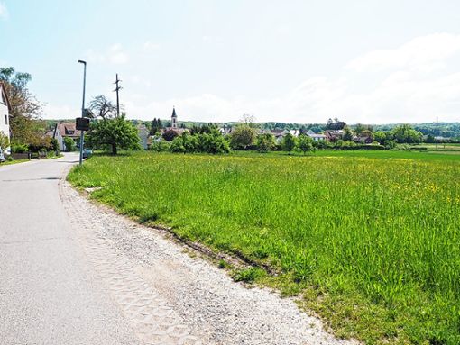 Am westlichen Ortsrand von Wittlingen soll ein Neubaugebiet entstehen. Foto: Herbert Frey