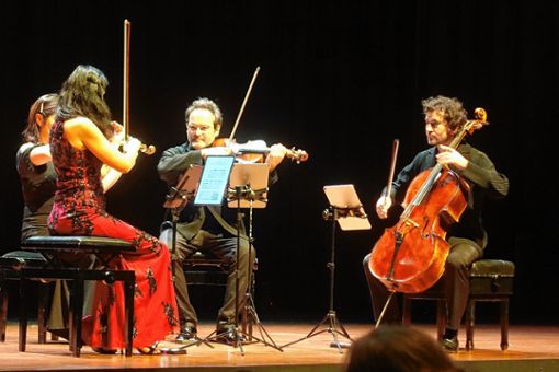 Mit dem Belcea Quartett gastierte im Burghof eines der weltweit bedeutendsten Streichquartette. Foto: Jürgen Scharf