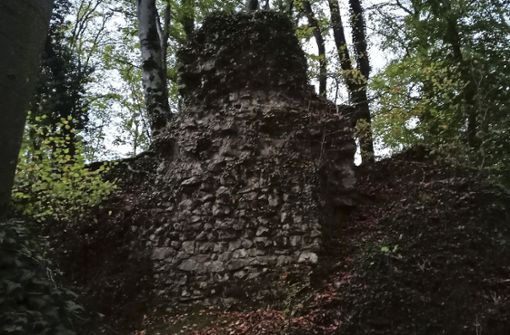 Von der Burg Hertenberg sind nur noch wenige Reste erhalten. Markantester Teil ist dieses Stück der Schildmauer. Foto: Tim Nagengast