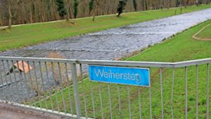 Weil am Rhein: Großprojekt: Basel plant Renaturierung der Wiese