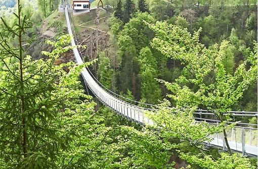Die Hängebrücke „Blackforestline“ über dem Todtnauer Wasserfall wird  an Pfingsten eröffnet. Foto: Ulrike Jäger