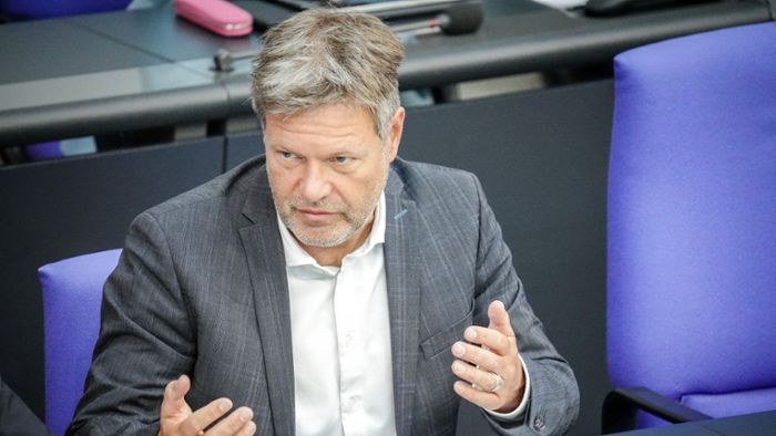 FDP-Vize: Kubicki sieht keine kurzfristige Einigung bei Heizungsgesetz