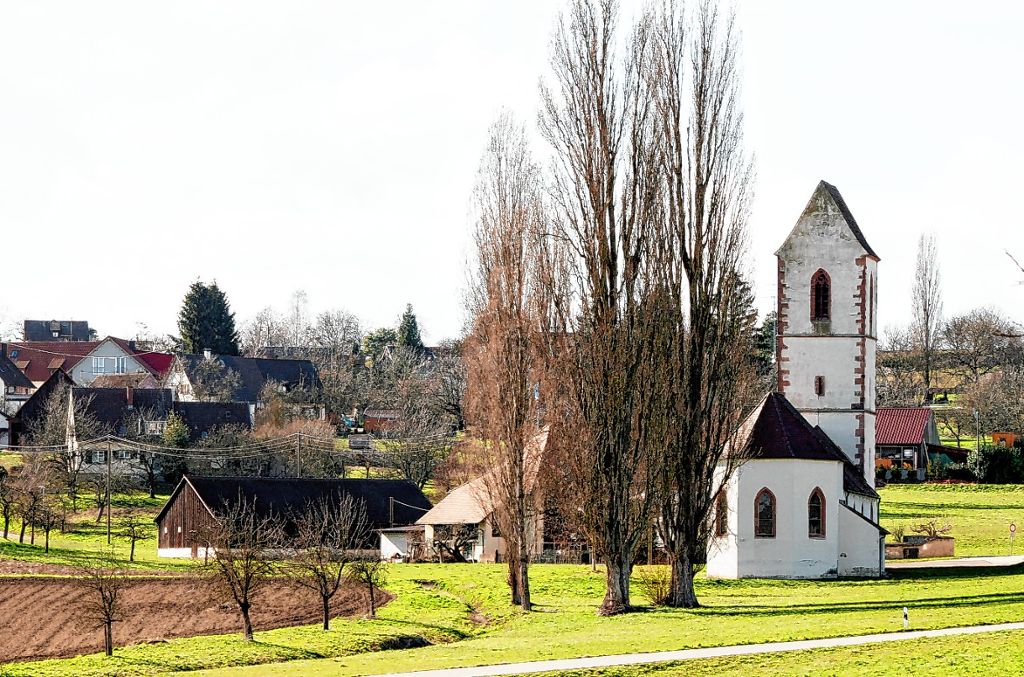 Efringen-Kirchen: Heimische Pflanzen gefährdet