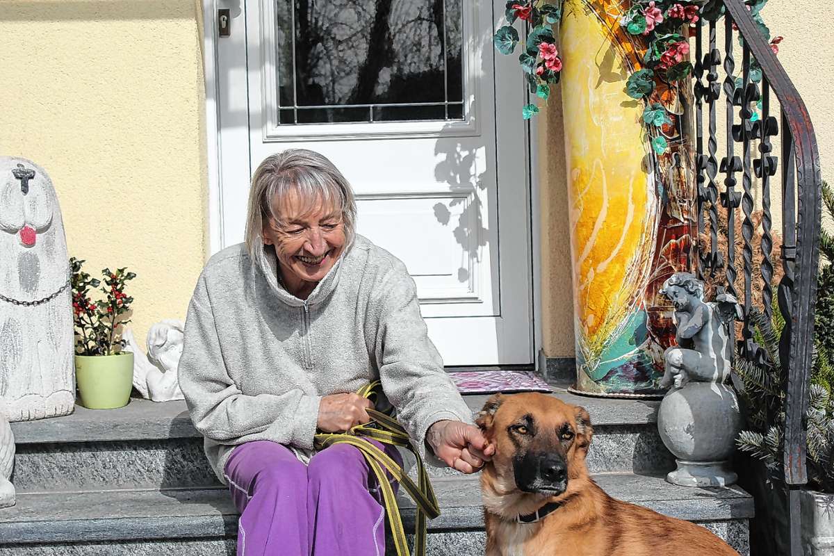 Rheinfelden: Mehr Platz für Hund und Katz