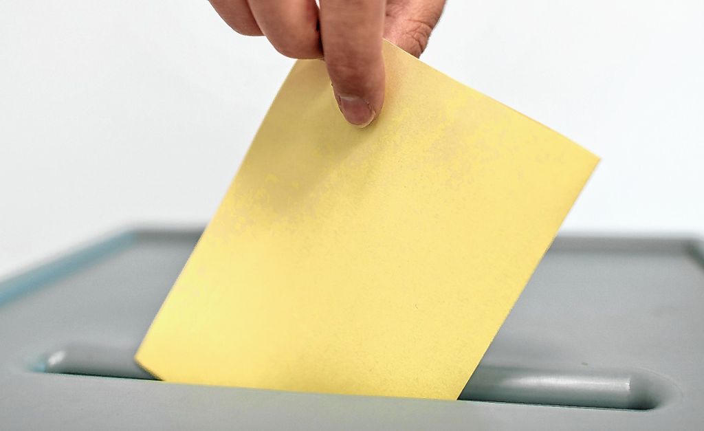 Schönau: Freie Wähler verlieren einen Sitz