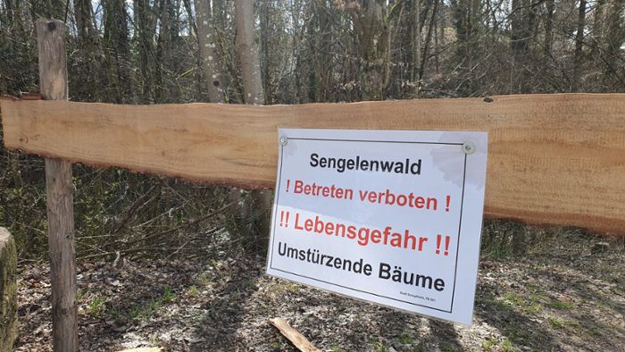 Schopfheim: Gefahr durch stürzende Bäume