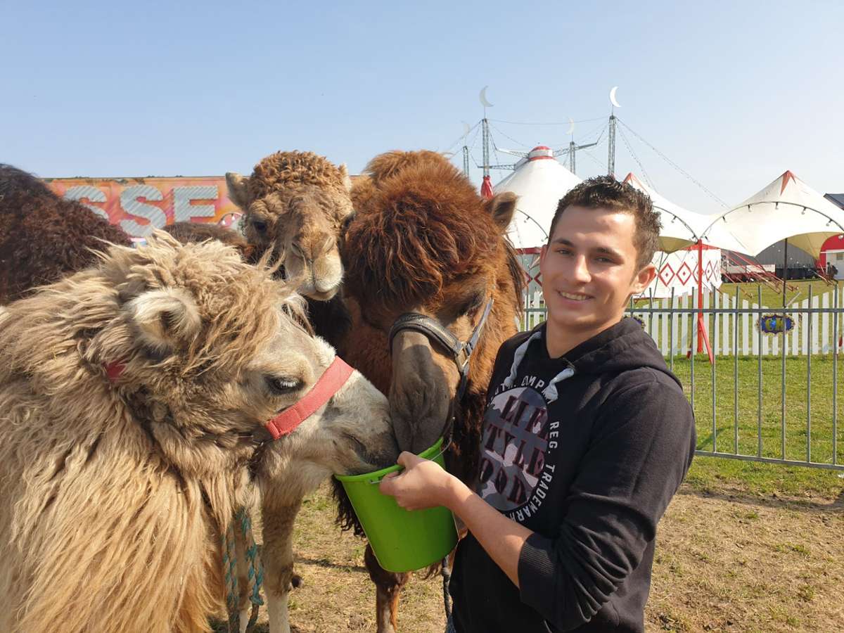 Juniorchef Alex Kaiser mit den vier Kamelen vor dem Zirkuszelt. Foto: Maximilian Müller
