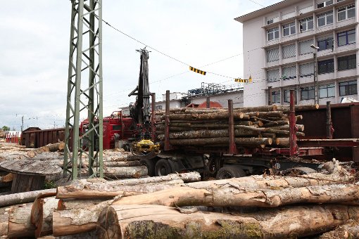 Die Forstwirtschaft sieht in der Lörracher Holzverladestation einen optimalen Standort.  
Foto: Kristoff Meller Foto: Die Oberbadische